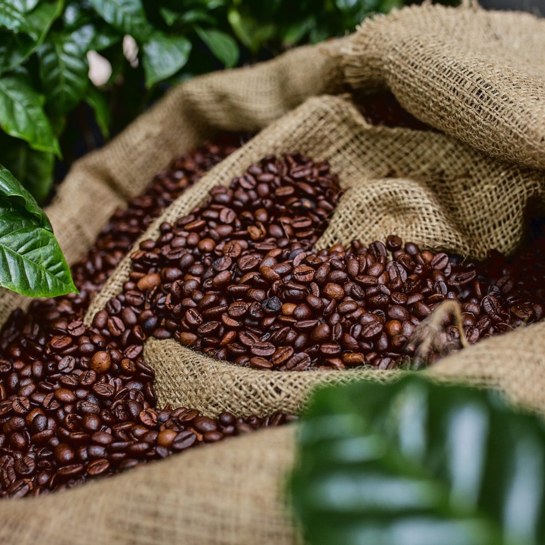 Open bag with coffee beans slices of green leaves. beautiful light, vigor of coffee beans, among coffee bushes Open bag with coffee beans slices of green leaves. beautiful light, vigor of coffee beans, among coffee bushes.